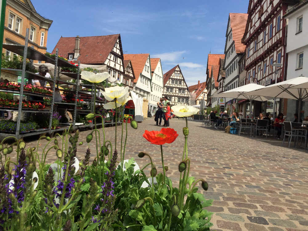 Staudenmarkt am Marktplatz