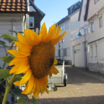 Leonberg