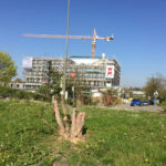 Rathaus-Rohbau